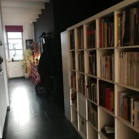 Apartment Bright Loft Close To Downtown *